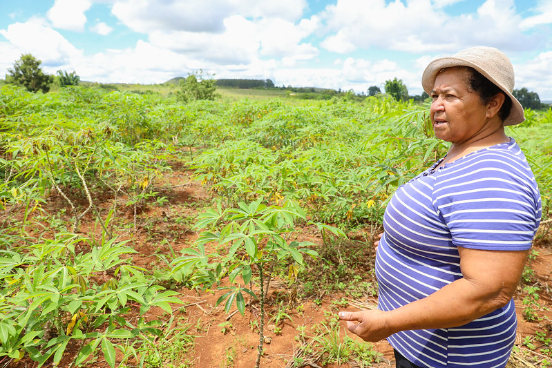 Combate à dengue ajuda produtores rurais do DF com matéria-prima
