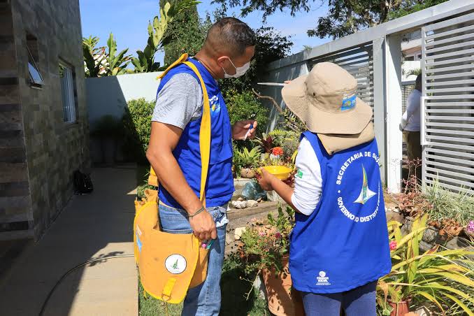 Cerca de 1.300 agentes comunitários de saúde reforçam o combate à dengue