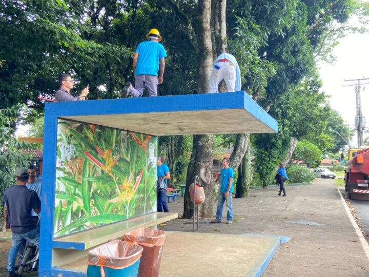Pontos de ônibus do Cruzeiro passam por limpeza para combate à dengue