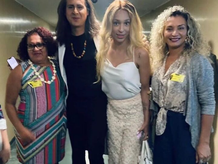 Primeira Marsha Trans do Brasil é realizada em Brasília