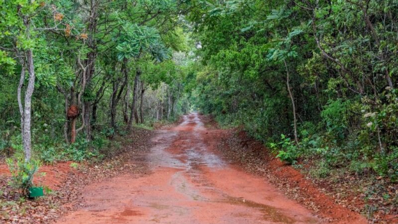 Dia das Reservas Particulares do Patrimônio Natural terá workshop