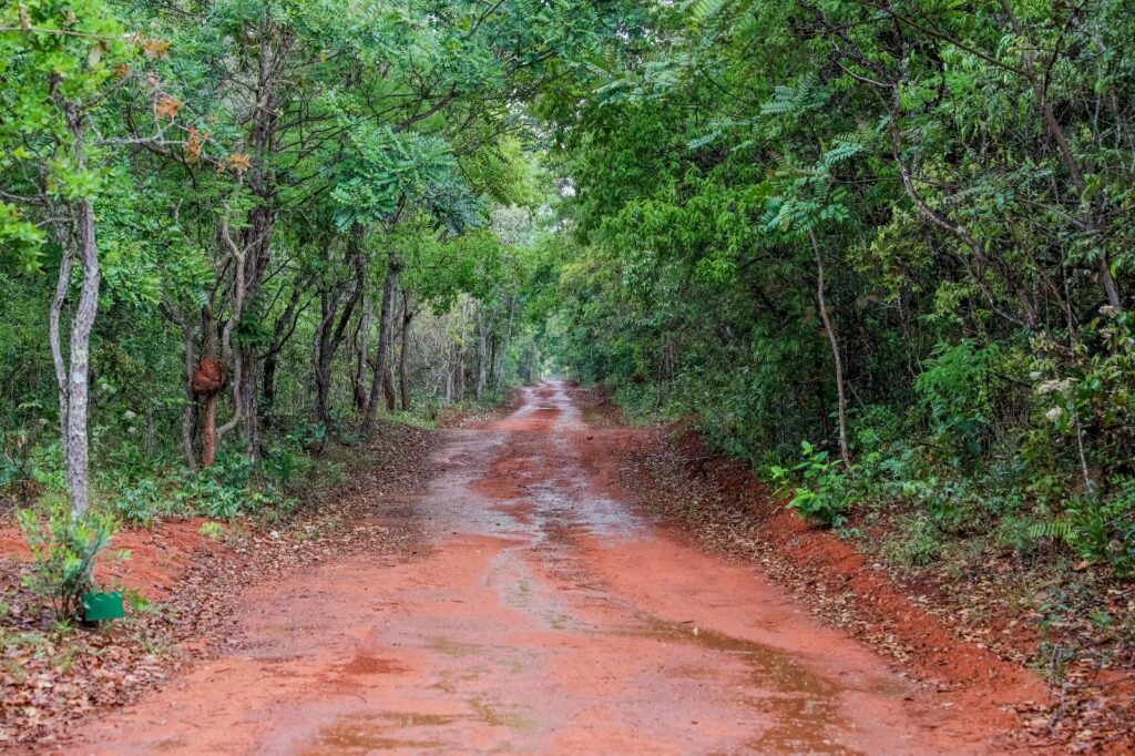 Dia das Reservas Particulares do Patrimônio Natural terá workshop