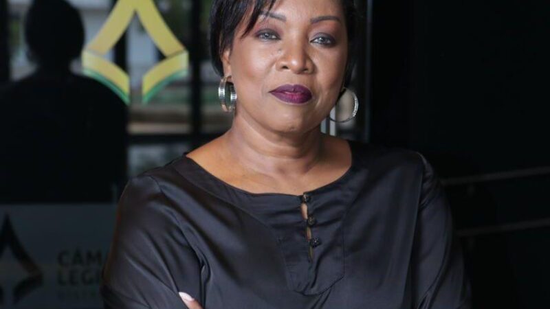 Campanha Permanente Contra o Mosquito Aedes Aegypti