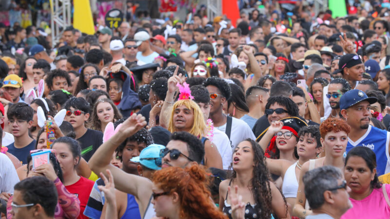 Dezessete blocos de Carnaval animam o DF neste domingo (11)