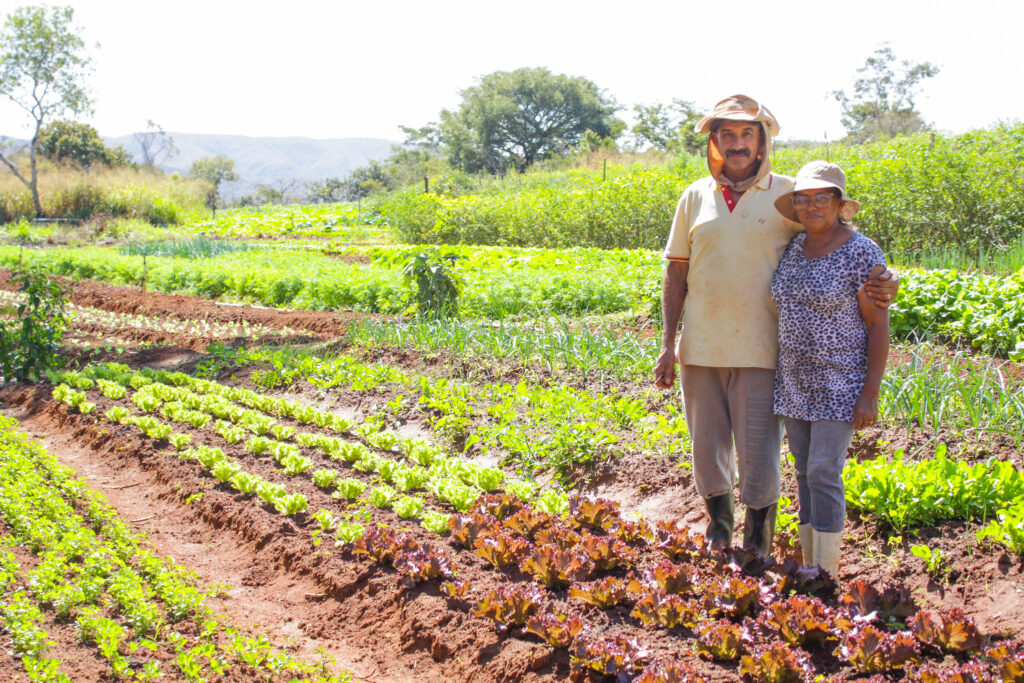 Agricultura familiar fortalecida nas escolas e na mesa de quem precisa