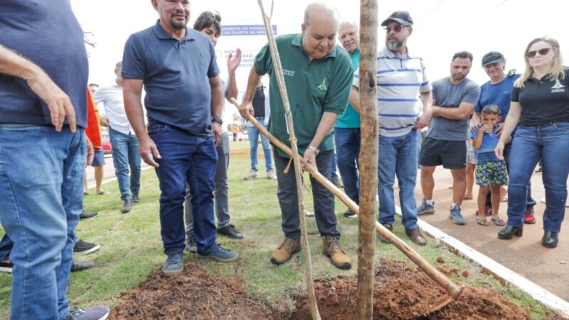 Programa de Arborização vai plantar 100 mil mudas nativas no DF em 2024