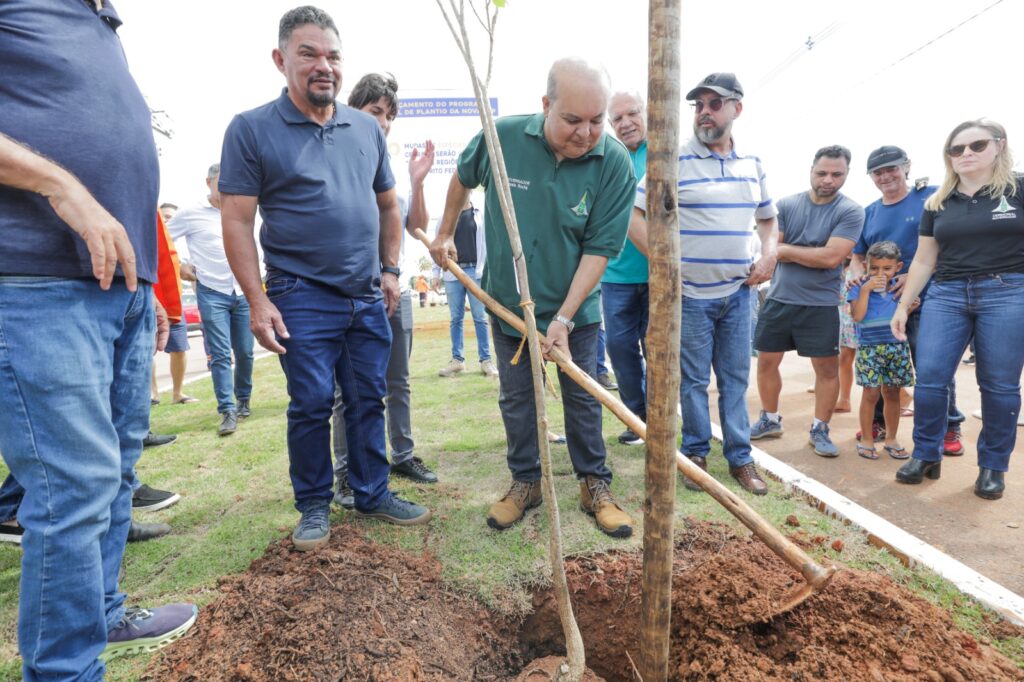 Programa de Arborização vai plantar 100 mil mudas nativas no DF em 2024