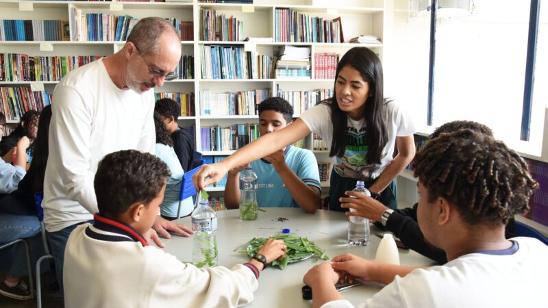 Escola em Santa Maria se destaca no combate à dengue com repelente natural