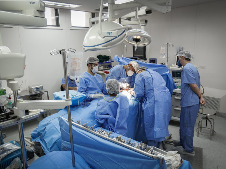 DF registra recorde em transplantes de órgãos, tecidos e células em 2023