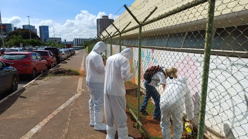 HBDF intensifica ações preventivas para o controle de pragas