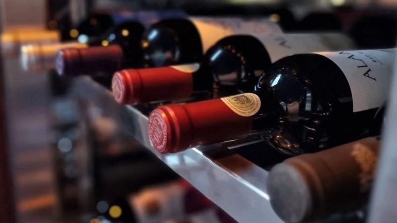 Uma experiência inesquecível para os amantes de vinho e gastronomia em Brasília