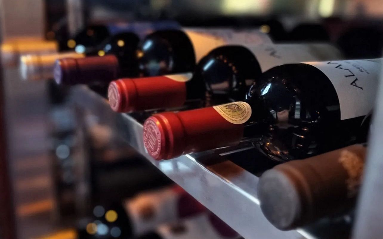 Uma experiência inesquecível para os amantes de vinho e gastronomia em Brasília