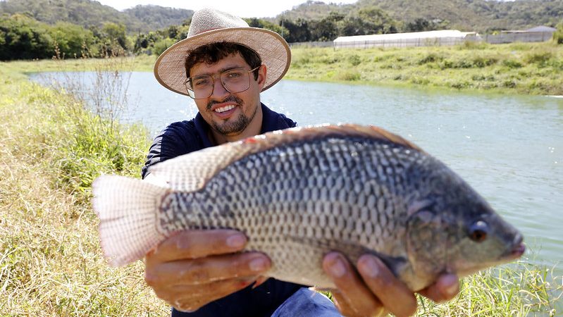 Piscicultura no DF bate recorde com formalização de produtores e apoio da Emater