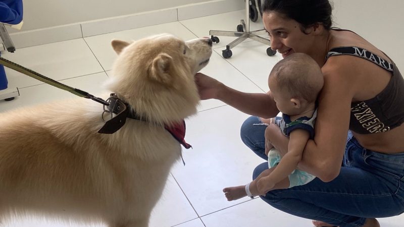 Cachorros da raça Malamute do Alasca levam alegria e bem-estar a crianças internadas no Hmib