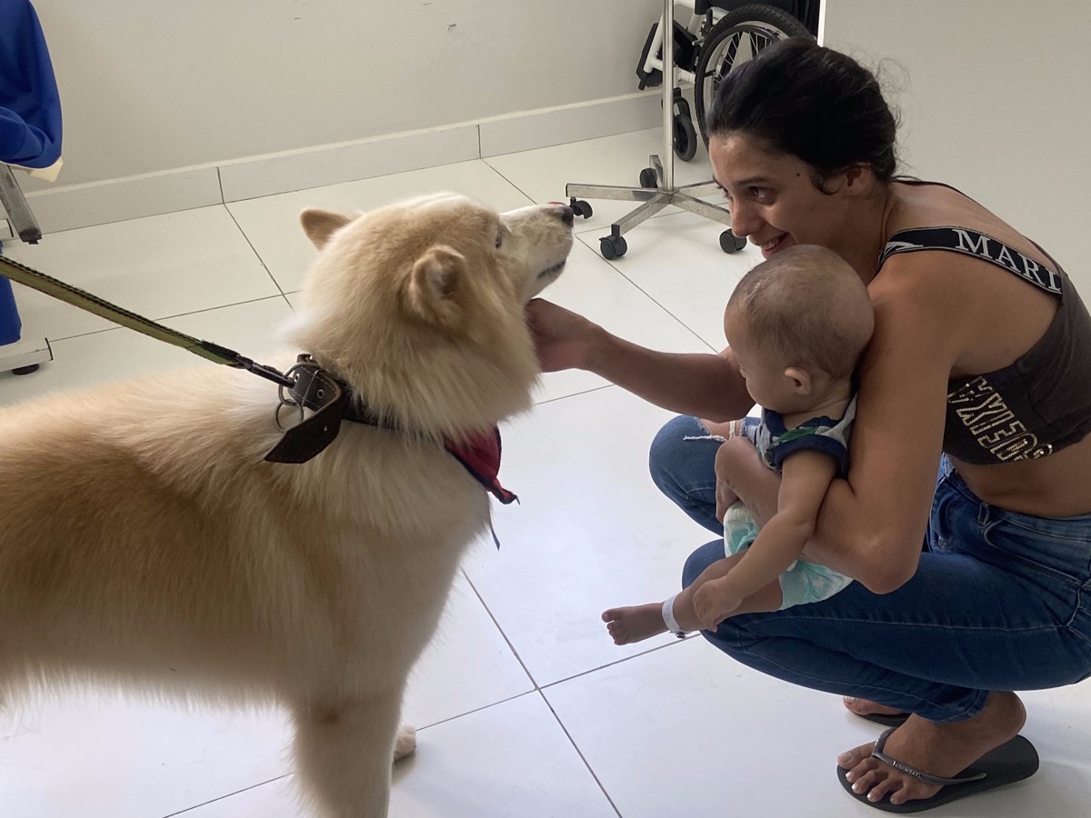 Cachorros da raça Malamute do Alasca levam alegria e bem-estar a crianças internadas no Hmib