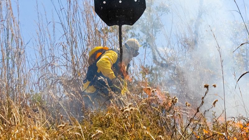 GDF intensifica ações para evitar incêndios no DF e registra redução de 70% na área queimada em 2023