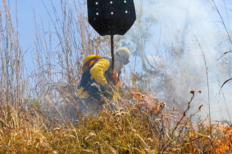 GDF intensifica ações para evitar incêndios no DF e registra redução de 70% na área queimada em 2023