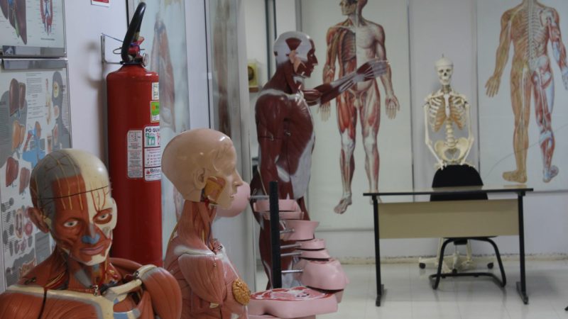 30 vagas para especialização em saúde mental e atenção psicossocial
