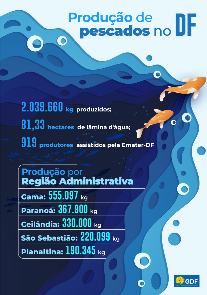 Agro do Quadrado: Criação de pescados bate recorde com formalização de produtores rurais