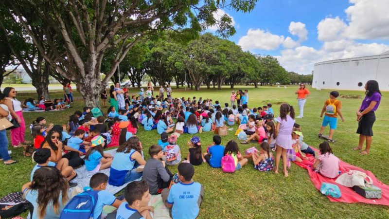 Uma Jornada Gratuita pela História e Cultura Indígena Brasileira