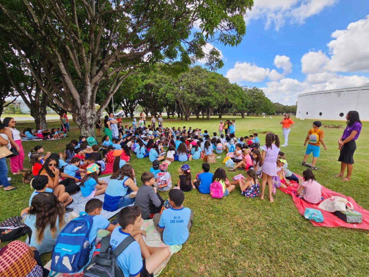 Uma Jornada Gratuita pela História e Cultura Indígena Brasileira