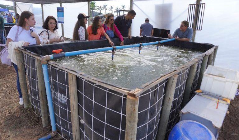 Emater-DF apresenta soluções inovadoras para a produção de pescado no DF