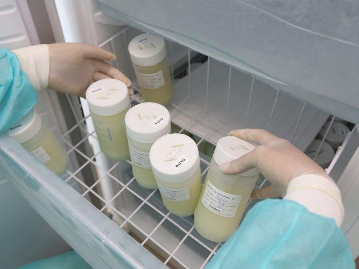 Mulheres com dificuldade de amamentar têm apoio de bancos de leite