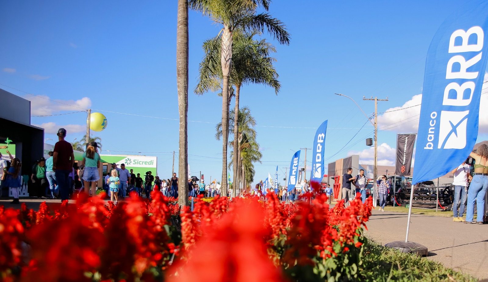 BRB Oferece Pacote de Valor Especial Durante a AgroBrasília 2024
