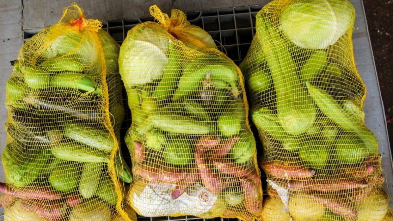 Cesta Verde: Alimento saudável e apoio à agricultura familiar no DF