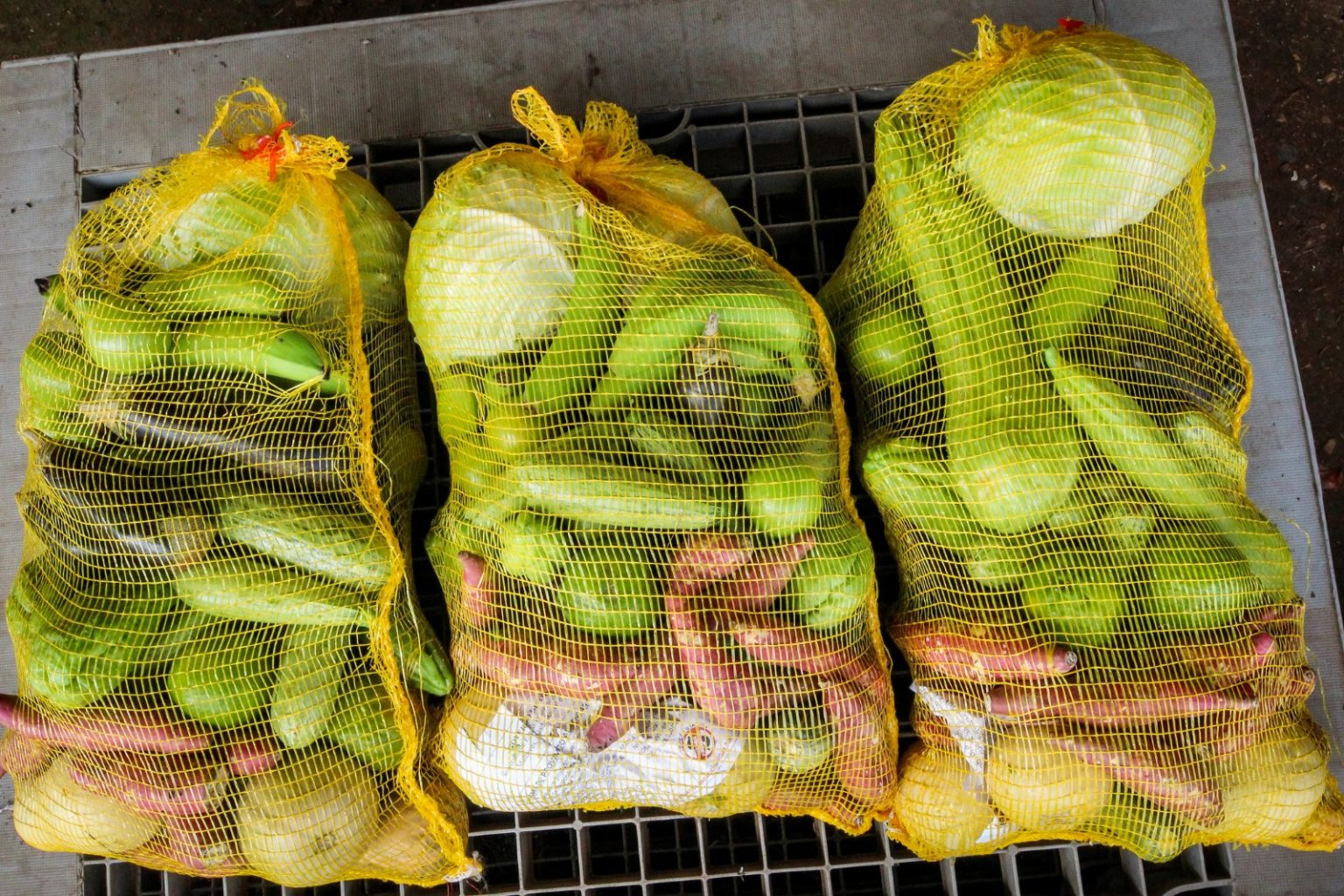 Cesta Verde: Alimento saudável e apoio à agricultura familiar no DF