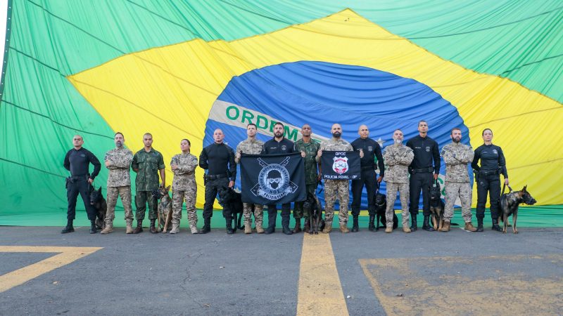 Polícia Penal do DF forma primeira turma de K9s após curso intenso