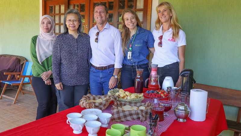 Agro do Quadrado: Rota da Fruticultura desperta interesse de missão da Malásia
