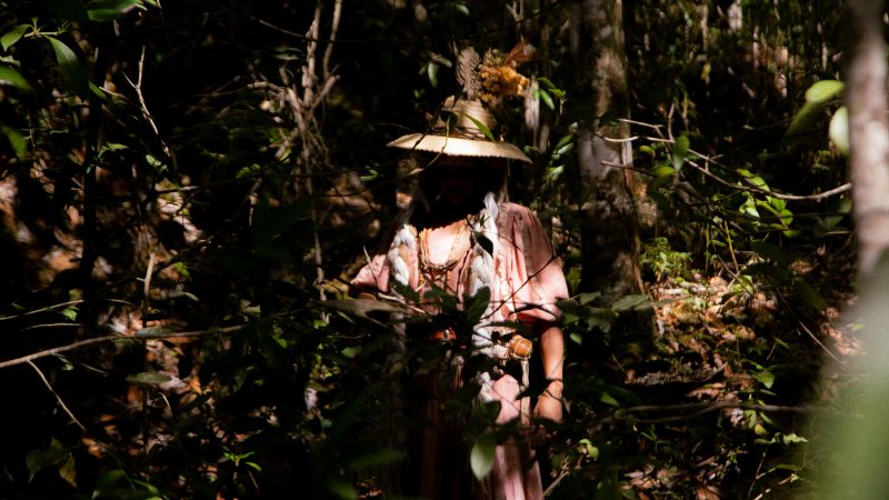 EcoFeira do Mercado Sul de Taguatinga apresenta programação especial