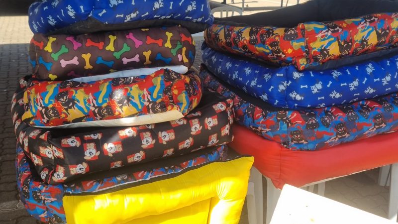 Feira pet no Taguaparque terá produtos confeccionados por reeducandos