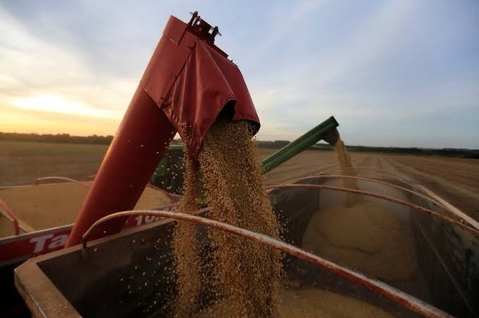 China Compra Soja Americana após Mudança Fiscal no Brasil
