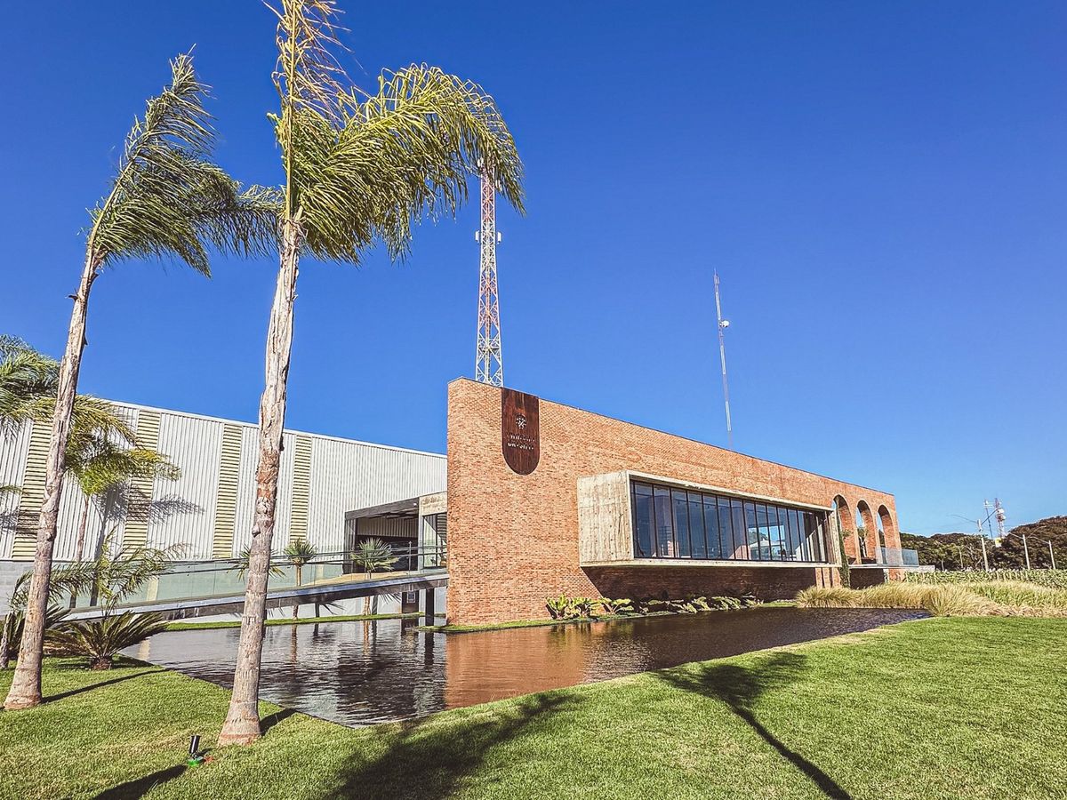 Os vinhos da capital: conheça a Vinícola Brasília