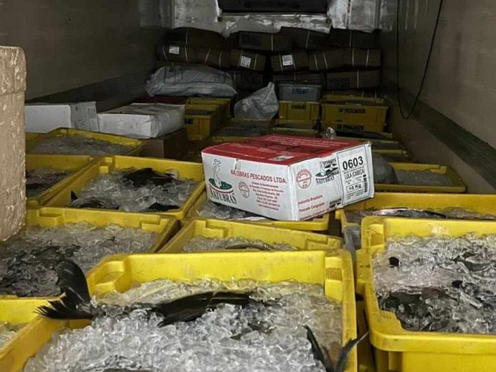 Fiscalização apreende cerca de R$ 1 milhão em produtos irregulares