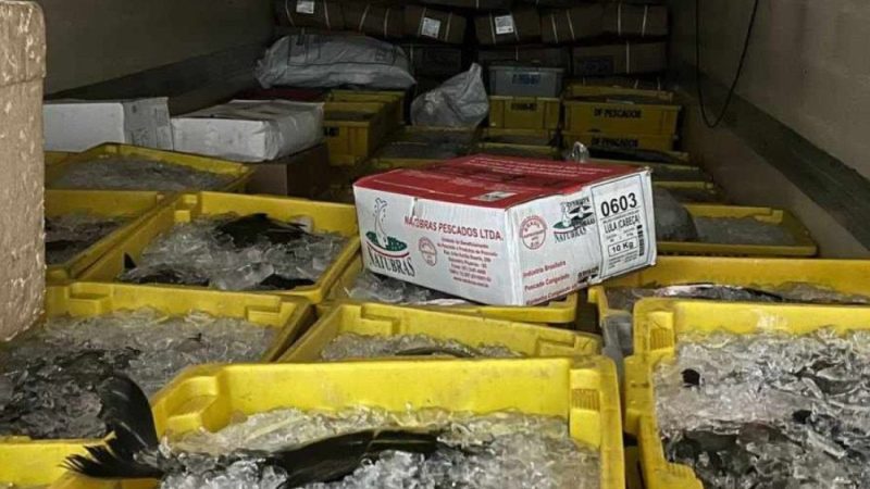 Fiscalização apreende cerca de R$ 1 milhão em produtos irregulares