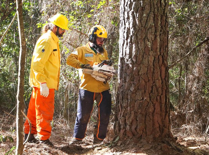Brigadistas brasileiros e americanos combatem juntos os incêndios florestais