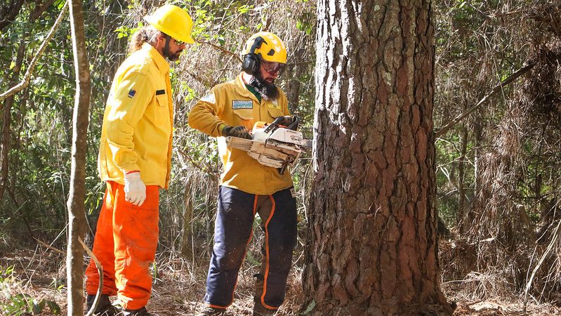 Brigadistas brasileiros e americanos combatem juntos os incêndios florestais
