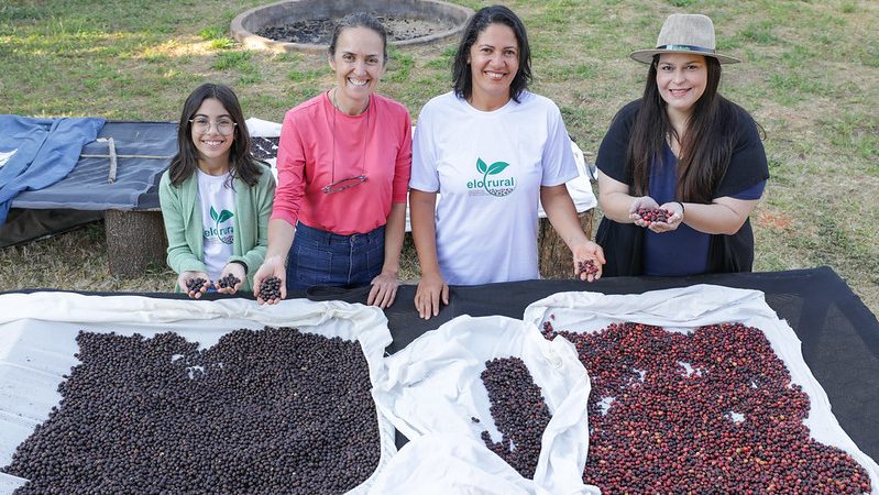 Mulheres cafeicultoras do DF se unem para conquistar mercado nacional e internacional