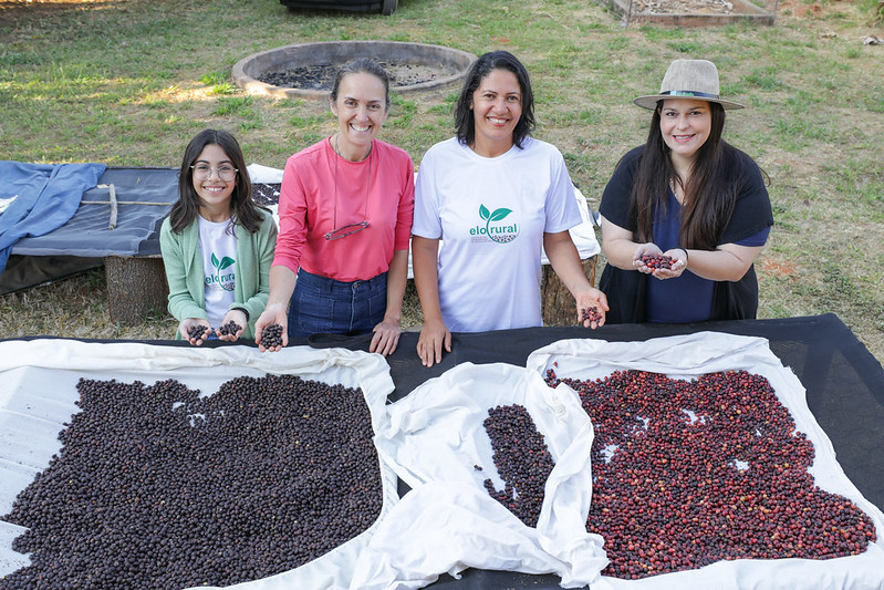 Mulheres cafeicultoras do DF se unem para conquistar mercado nacional e internacional