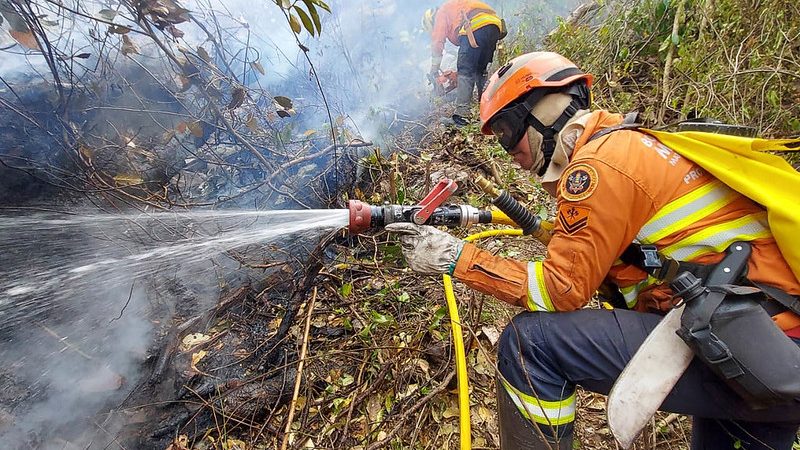 Bombeiros do DF: Heróis combatem incêndios no Pantanal por duas semanas