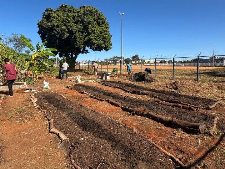 Horta do Creas Ceilândia fortalece vínculos entre pessoas em situação de rua