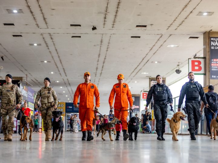 Brasília registra menor número de homicídios em 25 anos