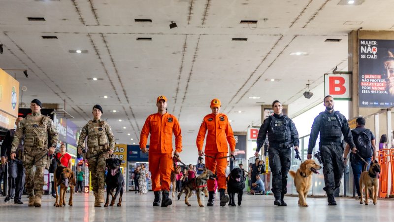 Brasília registra menor número de homicídios em 25 anos