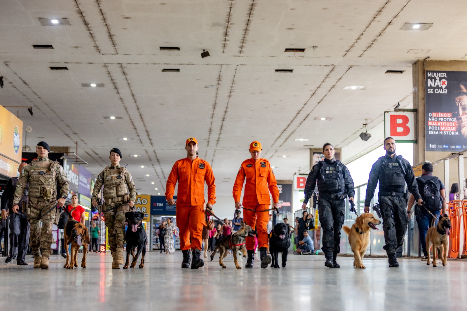 Brasília registra menor número de homicídios em 25 anos