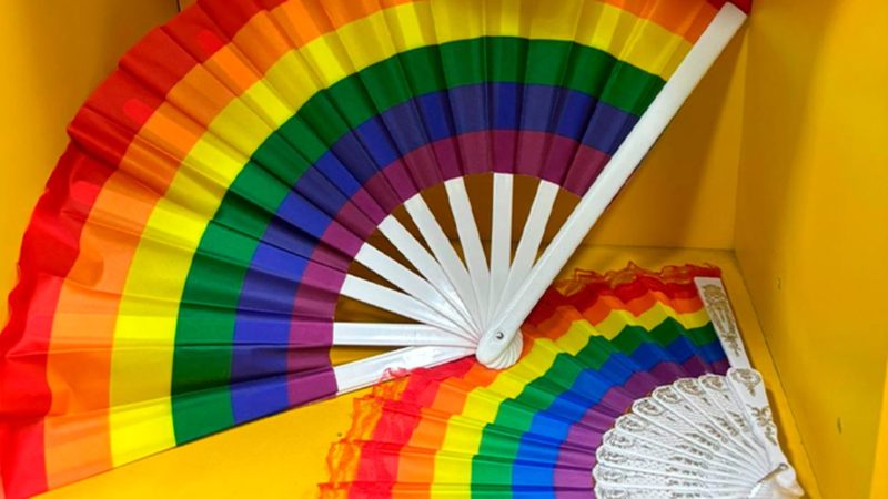 Conferência Distrital LGBTQIA+ em 2025