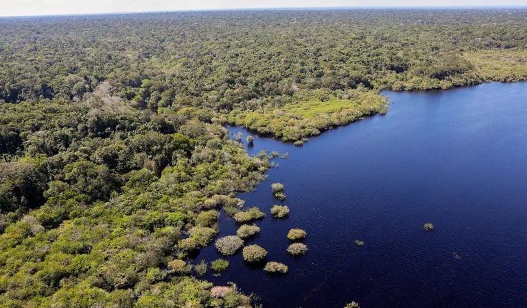 Plano Clima busca soluções para a crise climática com a participação popular