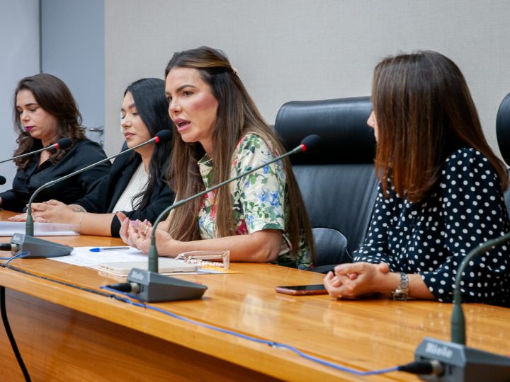 Semana Legislativa da Primeira Infância debate autismo e superdotação